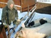 Волгоградская область: в ЛПХ обнаружена новая вспышка африканской чумы